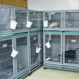 D one团宠:东营市东营区东城银座附近