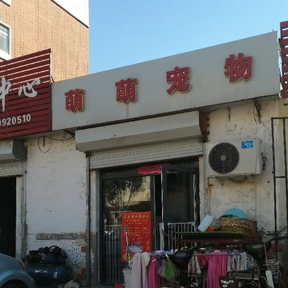 萌萌宠物:天津城区河西区小海地附近