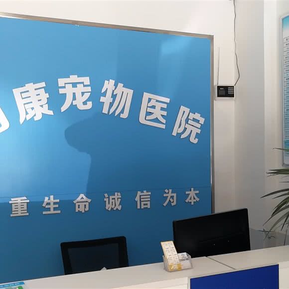 万康宠物医院(盛世龙城店):东营市东营区黄河路附近