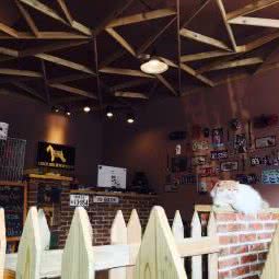 TOUCH DOG奢宠造型公社:东营市东营区淄博路附近