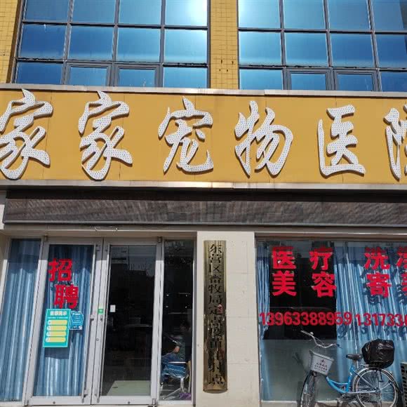 家家宠物医院:东营市东营区伟浩假日广场附近
