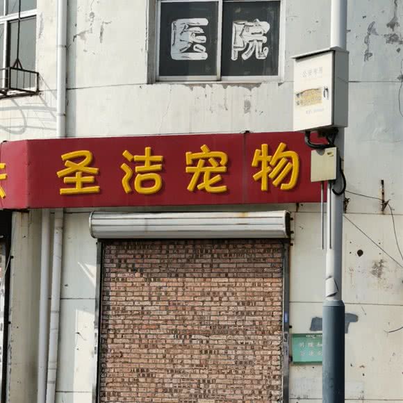 圣洁宠物:天津城区河西区小海地附近