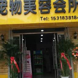 瑞米宠物美容会所(西二路店):东营市东营区北二路附近