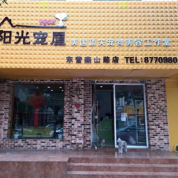 阳光宠屋(东营燕山路店):东营市东营区济南路附近