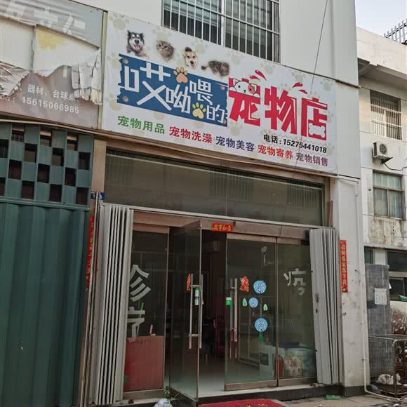 哎呦喂的宠物店:东营市东营区淮河路附近