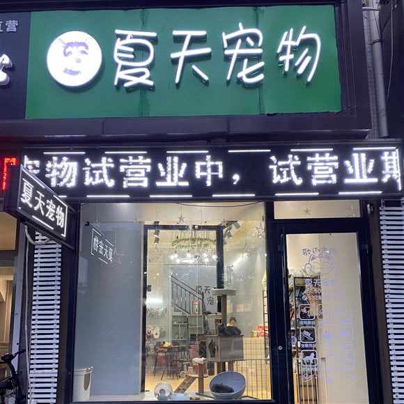 夏天宠物:东营市东营区淮河路附近