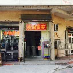 万千宠爱宠物美容中心:天津城区河西区小海地附近