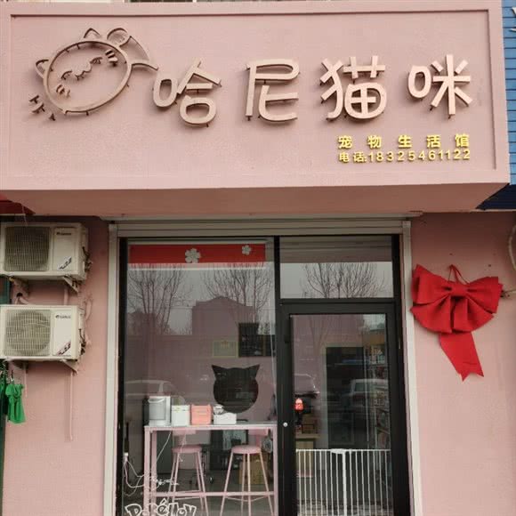 哈尼猫咪生活馆:东营市东营区西二路附近
