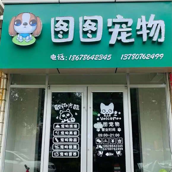 图图宠物狗:东营市东营区曹州路附近