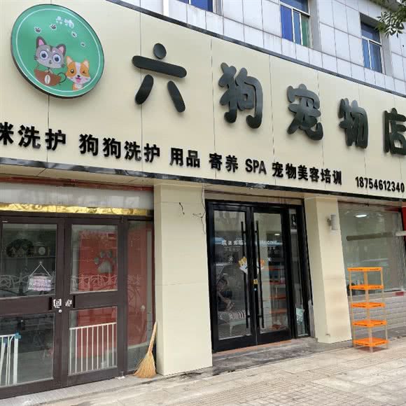 六狗宠物:东营市东营区西四路附近