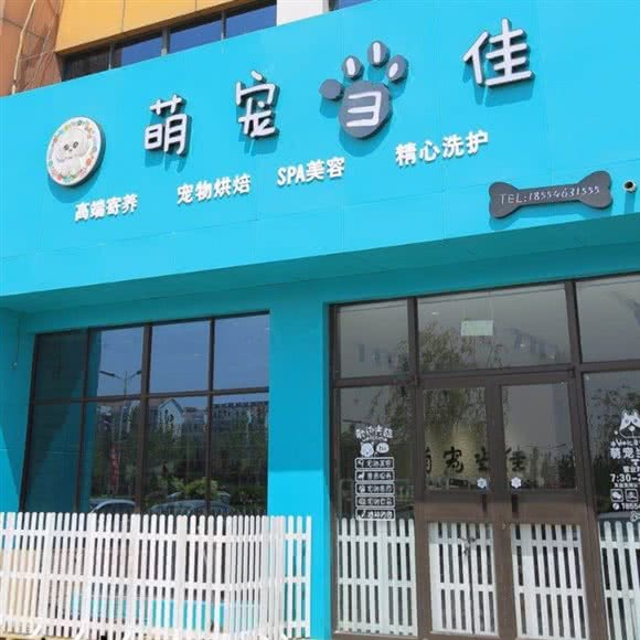 萌宠当佳:东营市东营区新区附近