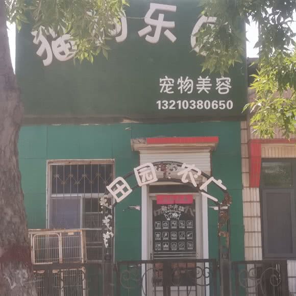 猫狗乐园:东营市东营区胜北体育馆附近