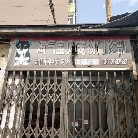 淘气宝贝宠物门诊部(长虹二区东区东北):东营市东营区西城附近