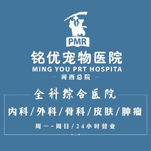 铭优宠物医院·24小时:天津城区河西区小海地附近