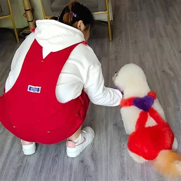 基萌宠物:东营市东营区东城附近