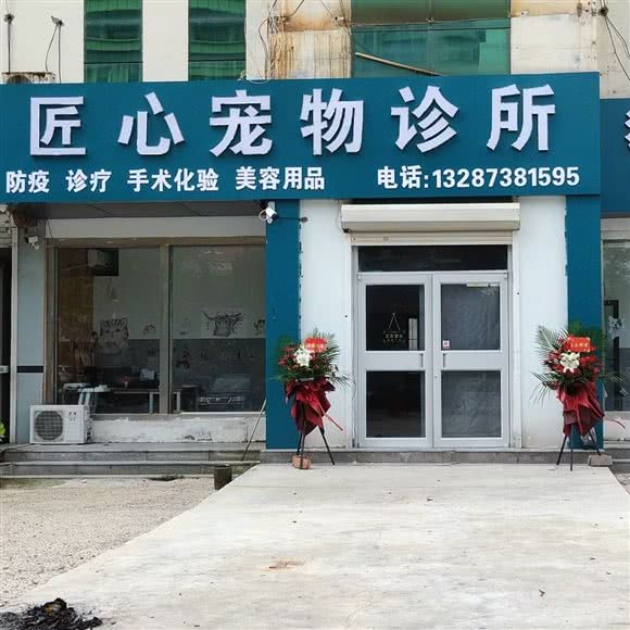 匠心宠物诊所:东营市东营区东城附近