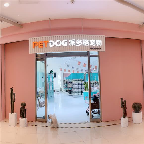 派多格宠物:烟台市芝罘区大悦城附近