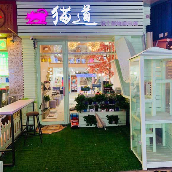 猫道猫咖·和服体验馆:烟台市芝罘区芝罘区万达广场附近