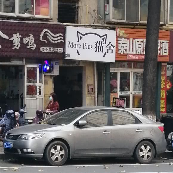 猫舍:烟台市芝罘区芝罘区万达广场附近