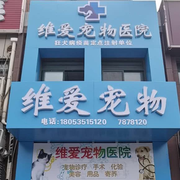 维爱宠物医院:烟台市芝罘区机场路/黄务附近