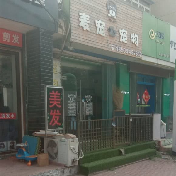 麦宠宠物:烟台市芝罘区上夼美食街附近