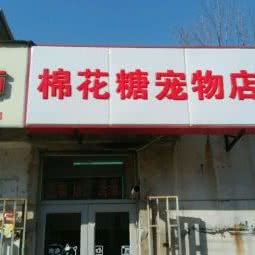 棉花糖宠物医院:天津城区河西区小海地附近