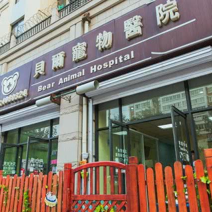 贝尔宠物医院(宁海路店):烟台市芝罘区上夼美食街附近