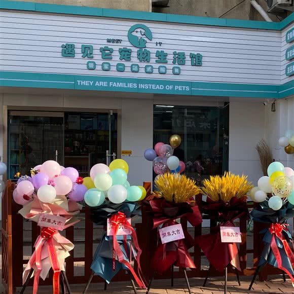 遇见它宠物生活馆:烟台市芝罘区青年路附近