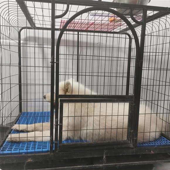 宠i家咖啡店:烟台市芝罘区青年路附近