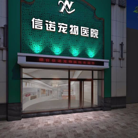 信诺宠物医院(白石路店):烟台市芝罘区青年路附近