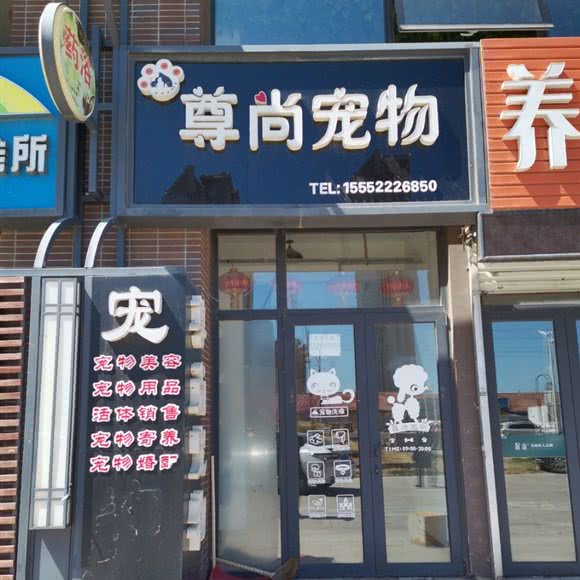 尊尚宠物:烟台市芝罘区环海路附近