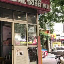 安哥鲁宠物貂烟台专卖:烟台市芝罘区向阳街/福莱花园附近