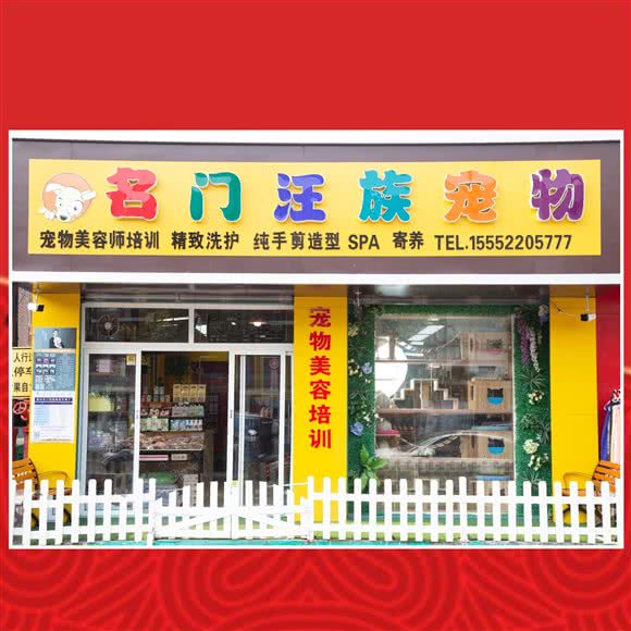 名门汪族宠物狗:烟台市芝罘区向阳街/福莱花园附近