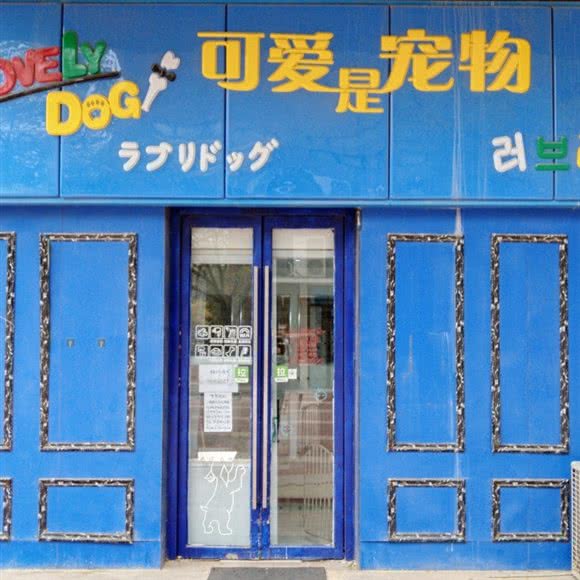 可爱是宠物:天津城区河西区梅江小区附近