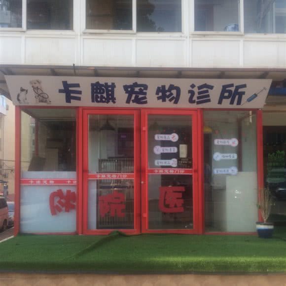 卡麒宠物诊所:烟台市芝罘区向阳街/福莱花园附近