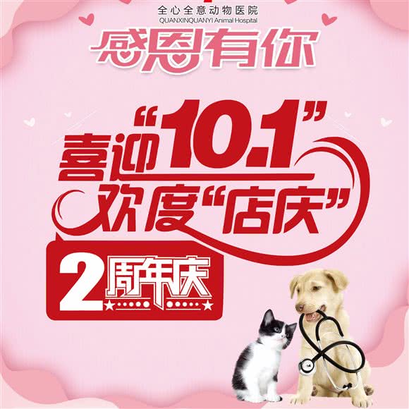 全心全意24h连锁店动物医院:烟台市芝罘区毓璜顶附近