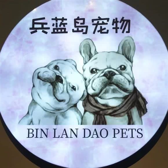 兵蓝岛宠物:天津城区河西区梅江小区附近