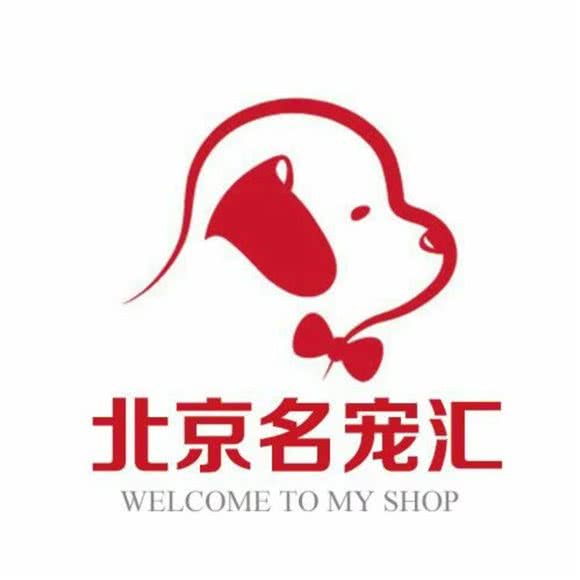 北京名宠汇(宠物狗狗猫咪活体售卖):北京城区朝阳区大望路附近