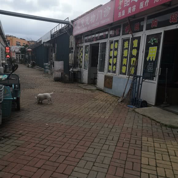 恩宠宠物门诊:烟台市芝罘区幸福商圈附近
