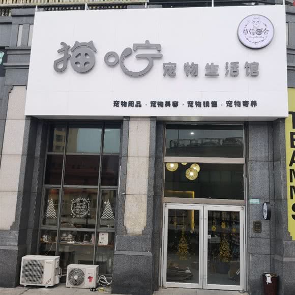 猫咛宠物生活馆:烟台市芝罘区金沟寨附近