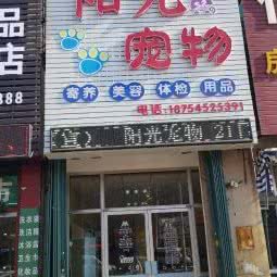 阳光狗狗:烟台市福山区松霞路附近