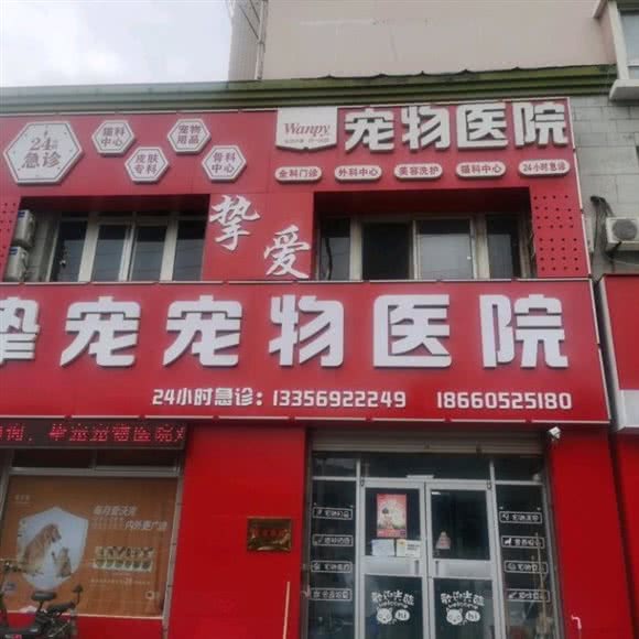挚爱24h宠物医院:烟台市福山区松霞路附近