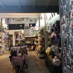 派特多宠物(黑牛店):天津城区河西区宾水道/体院北附近