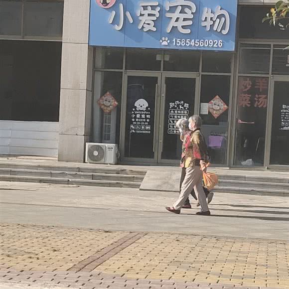 小爱宠物:烟台市福山区福海路附近