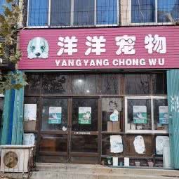洋洋宠物生活会馆:烟台市福山区福海路附近
