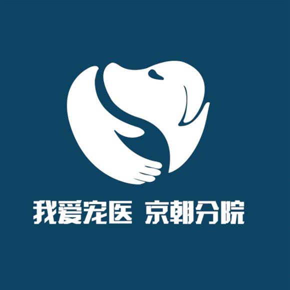 中农大我爱我爱京朝动物医院(京朝分院):北京城区朝阳区大望路附近