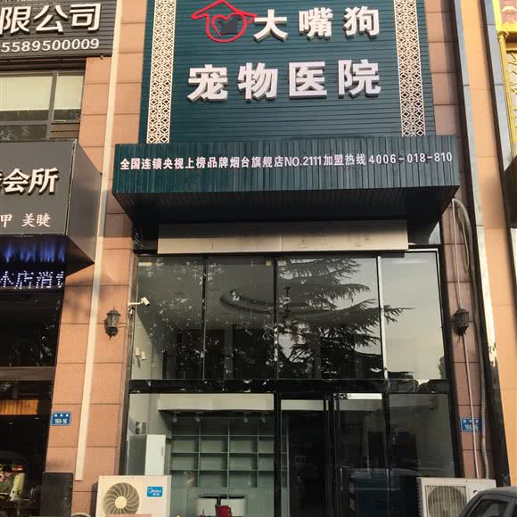 大嘴狗宠物医院(烟台旗舰店):烟台市福山区福海路附近