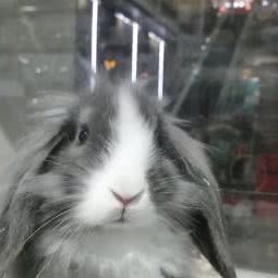 小宠空间(新世界百货店):烟台市莱山区万象城附近