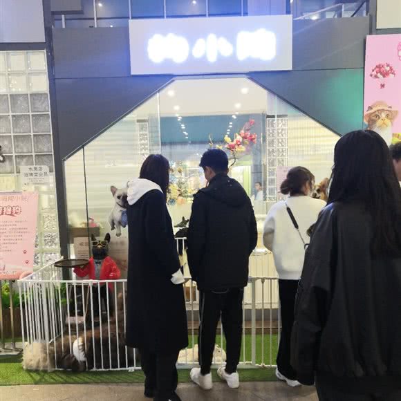 狗小院:烟台市莱山区万象城附近