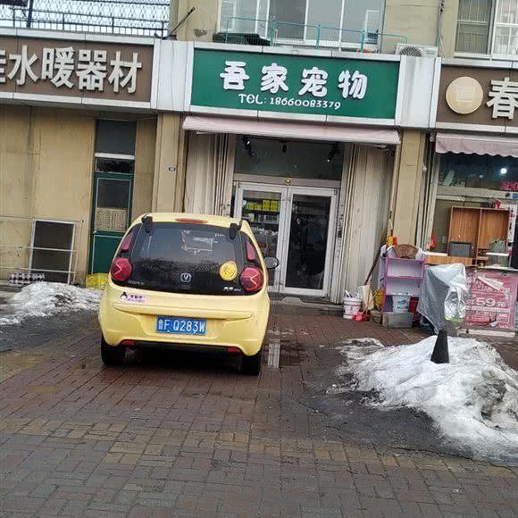 吾家宠物:烟台市莱山区迎春大街附近